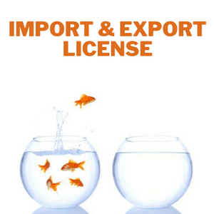 You are currently viewing Import Export license apply online process -I&E code | Starting International Business बिदेश बेपर