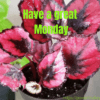 monday greetings