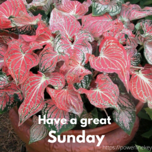 Sunday greetings