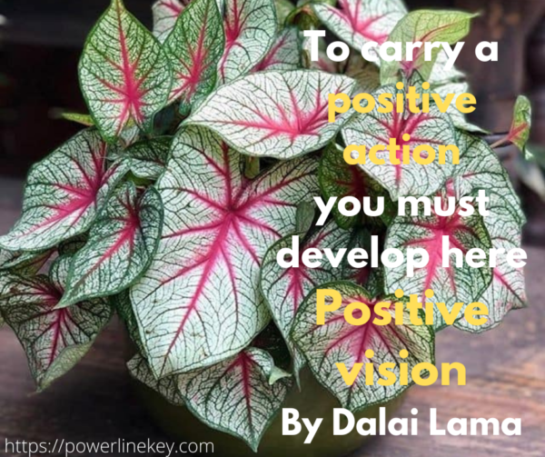 Dalai lama quotes