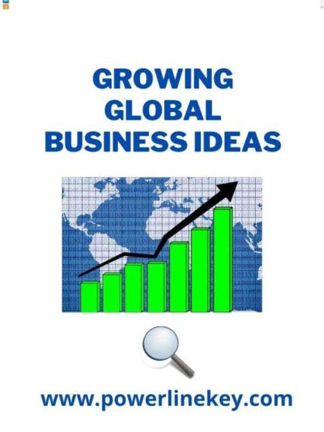 Read more about the article Organic Growth Small Medium Star up Business Stratrgies