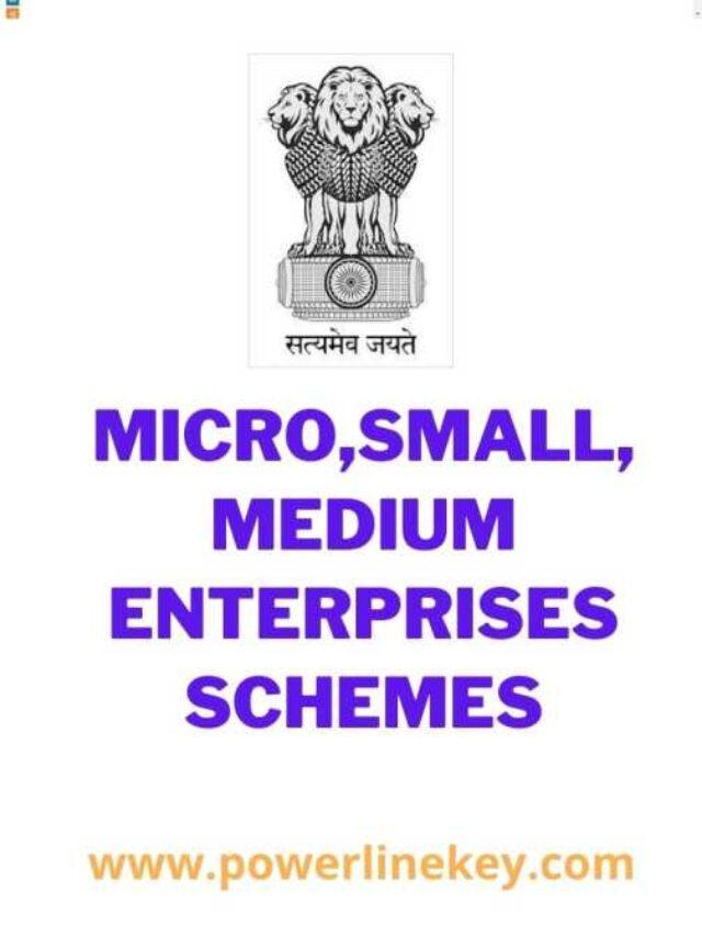 Read more about the article Apply online,Msme benefits and schemes by Govt of India