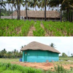 micro small medium enterprises village business ideas-silk cocoon rearing house example
