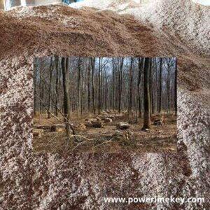 biomass energy by powerlinekey.com