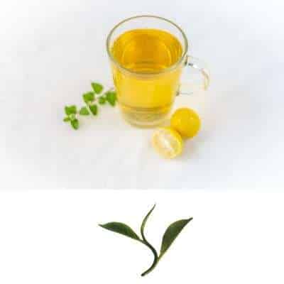 You are currently viewing B2B- Wholesale Supplies – India | Organic Tea | Starting a Tea Business | Tea Processing