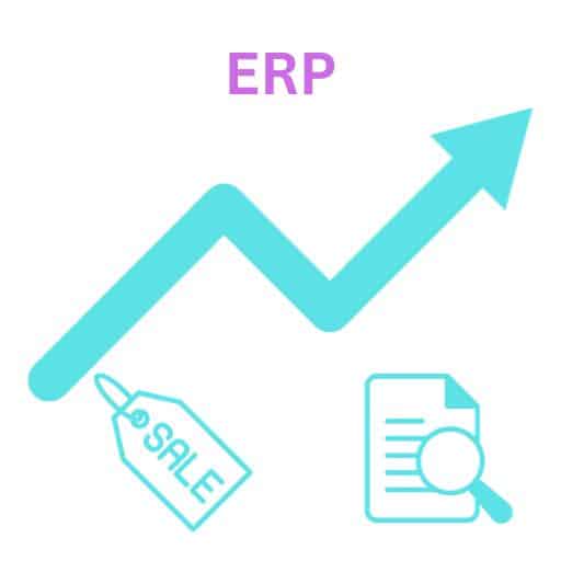 Read more about the article ERP Success: Enterprise Resources Planning in Business Blog
