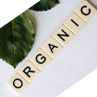 Organic brand marketing business ideas without investment explained by powerlinekey blog