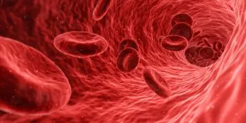 blood cerculation process explained by powerlinekey
